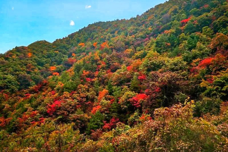 江山 秋 江山 秋