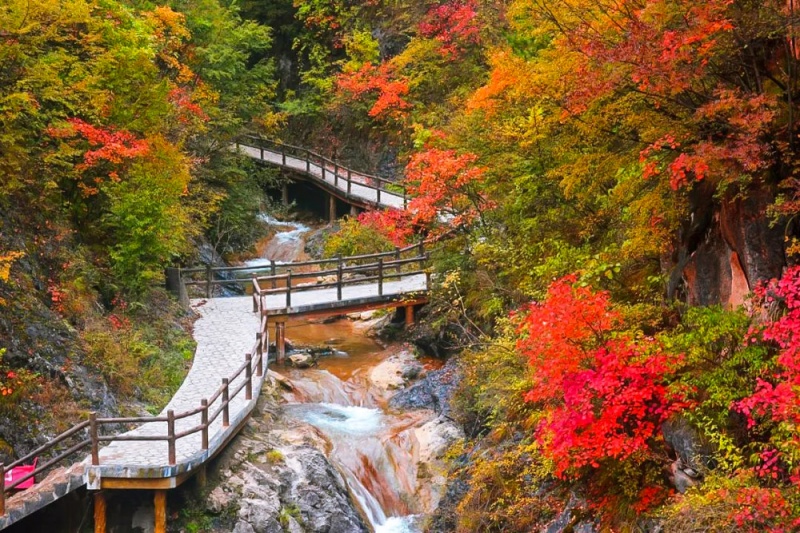 江山 秋 江山 秋