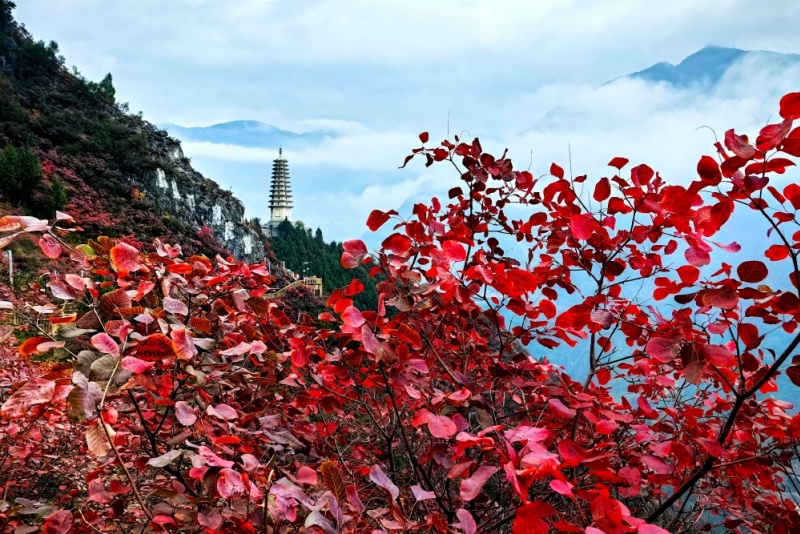 文峰景区