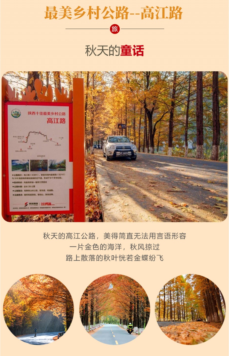 秦岭觅秋 3D 2024 2 秦岭觅秋 3D 2024 2