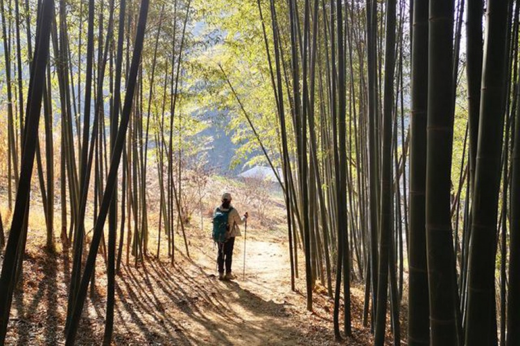 月亮沟塔盘沟