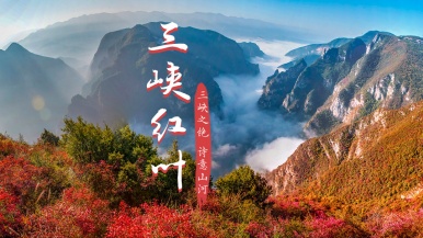 【红叶季•长江三峡】12月 探秘三峡人家 体验两坝一峡 赏世界工程 畅游神女天路 三峡之巅 诗意白帝城  6日