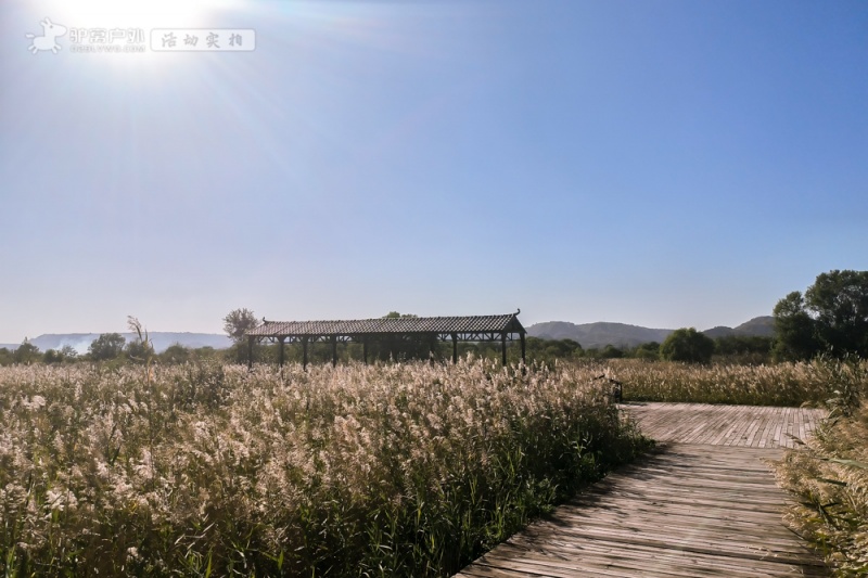 处女泉 秋拍 处女泉 秋拍