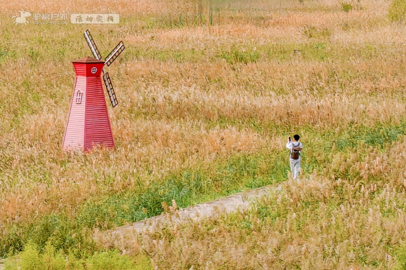 处女泉 秋拍 处女泉 秋拍