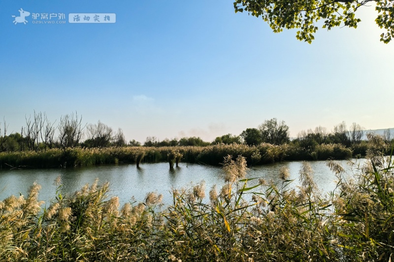 处女泉 秋拍 处女泉 秋拍