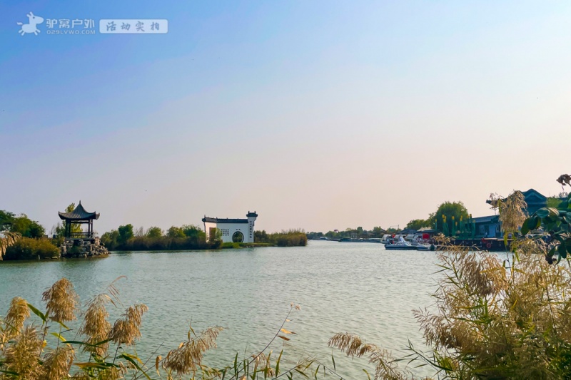 处女泉 秋拍 处女泉 秋拍