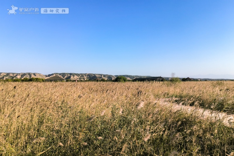 处女泉 秋拍 处女泉 秋拍