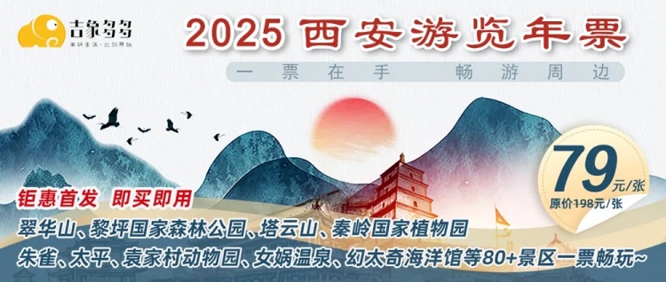 2025西安游览年票