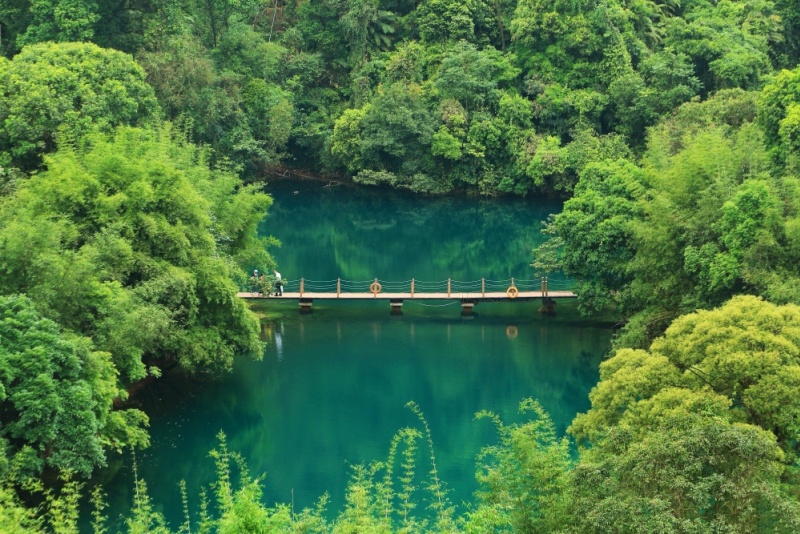 鼎湖山