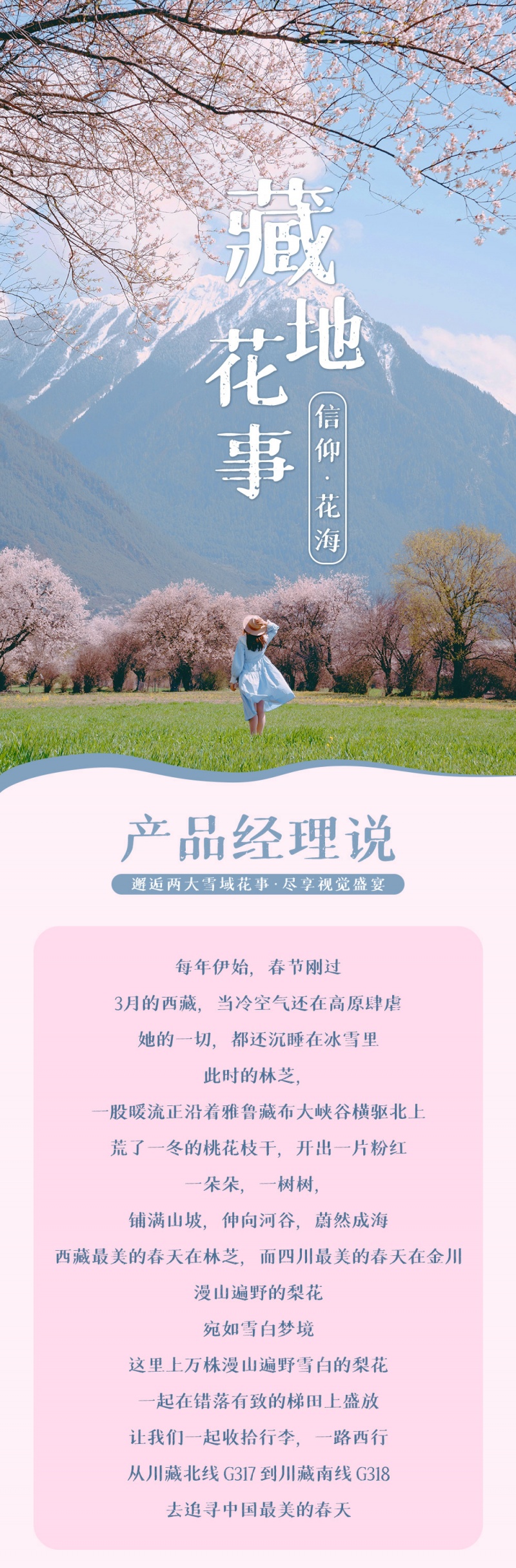 藏地花事-金川-林芝-亮点图-2025改1-1