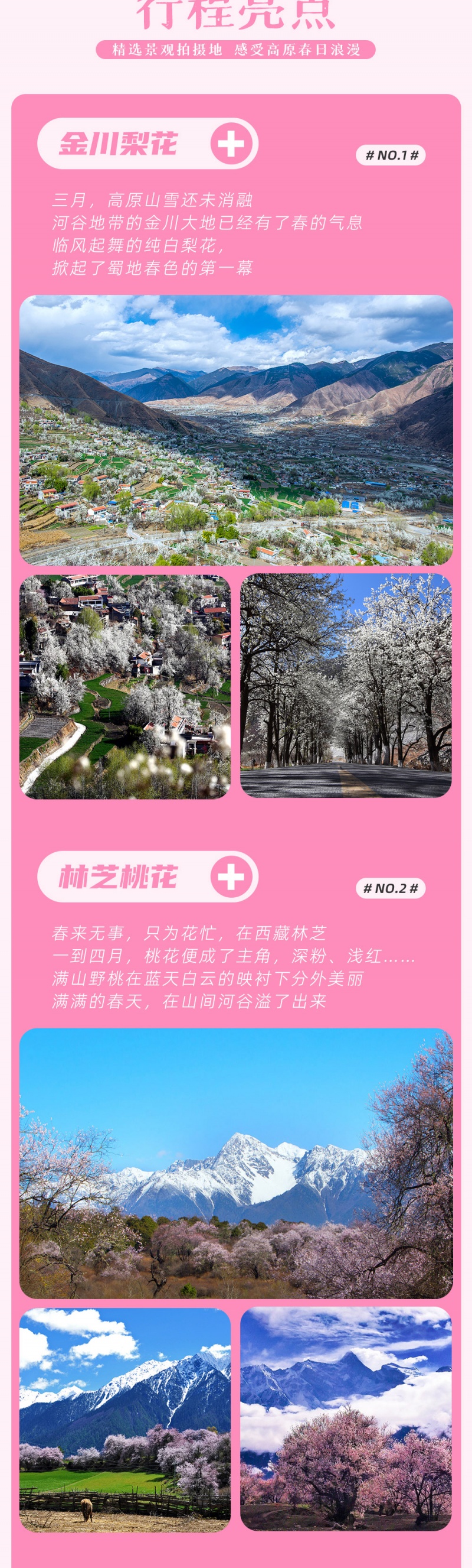 藏地花事-金川-林芝-亮点图-2025改1-4