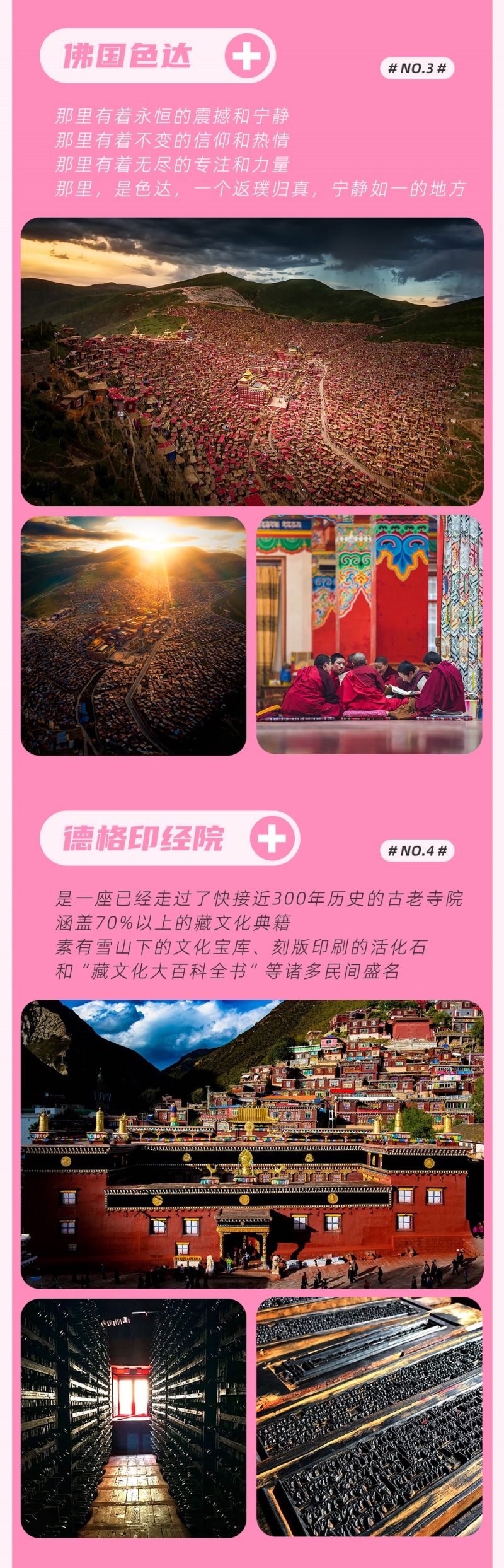 藏地花事-金川-林芝-亮点图-2025改1-5
