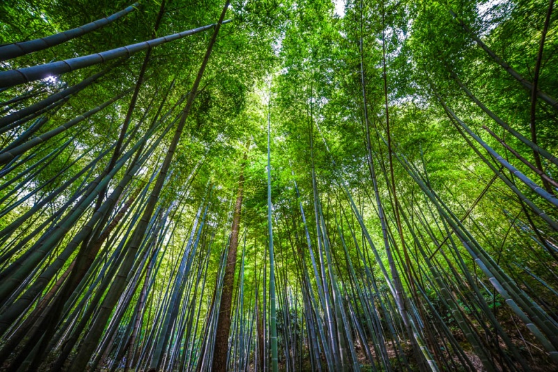 敬亭山