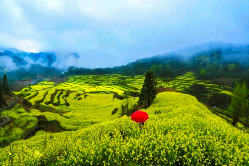灵山村