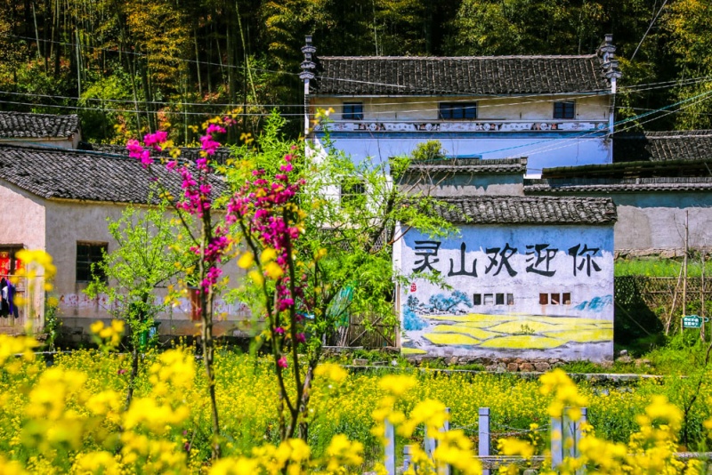 灵山村