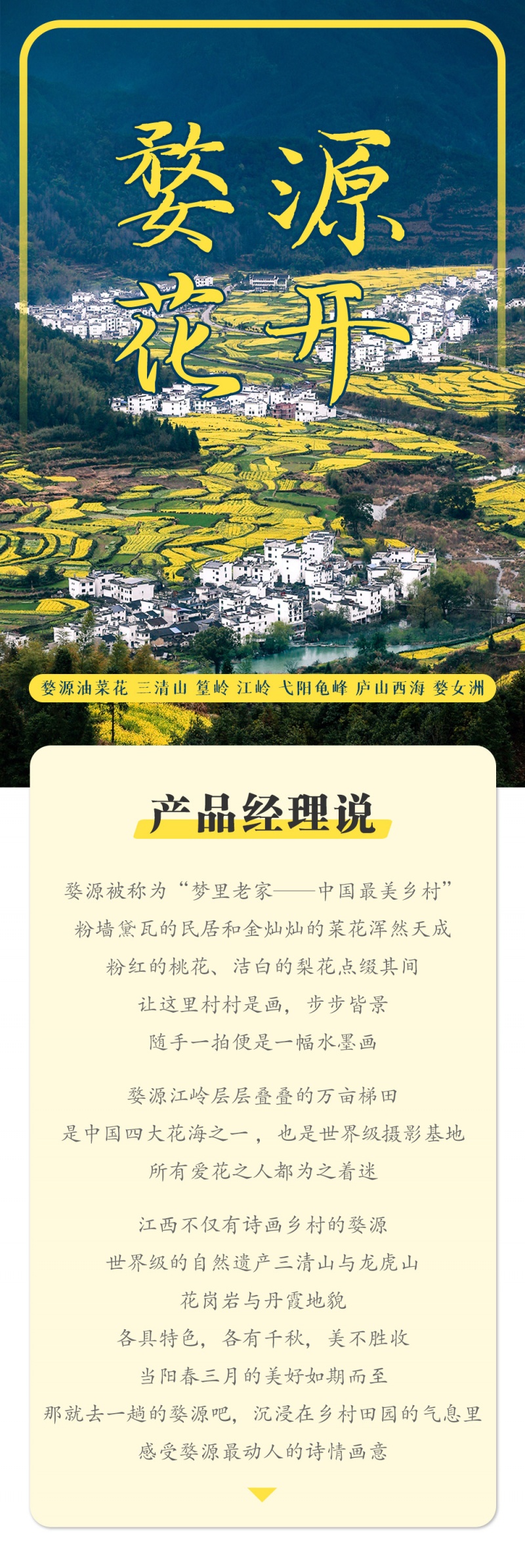 婺源花开-亮点图-2025改1-1