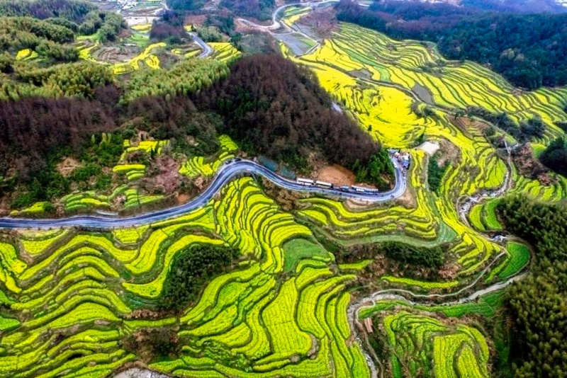 灵山村