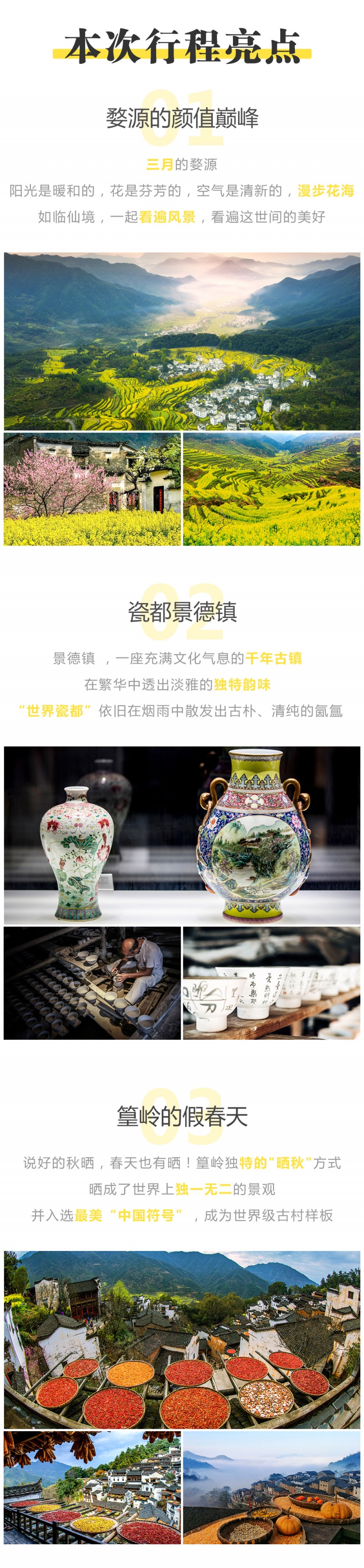 婺源花开-亮点图-2025改1-3