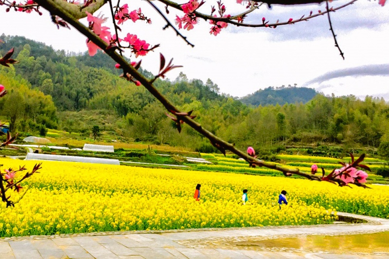 灵山村