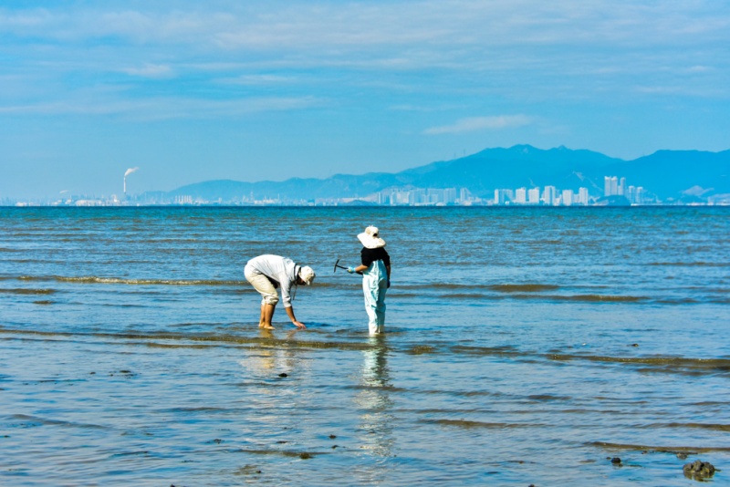 巽寮湾