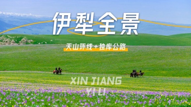 【陆地头等舱2+1车型| 伊犁全景+独库】6月-8月伊犁 独库公路 赛里木湖 夏塔古道  喀拉峻 那拉提 巴音布鲁克9日