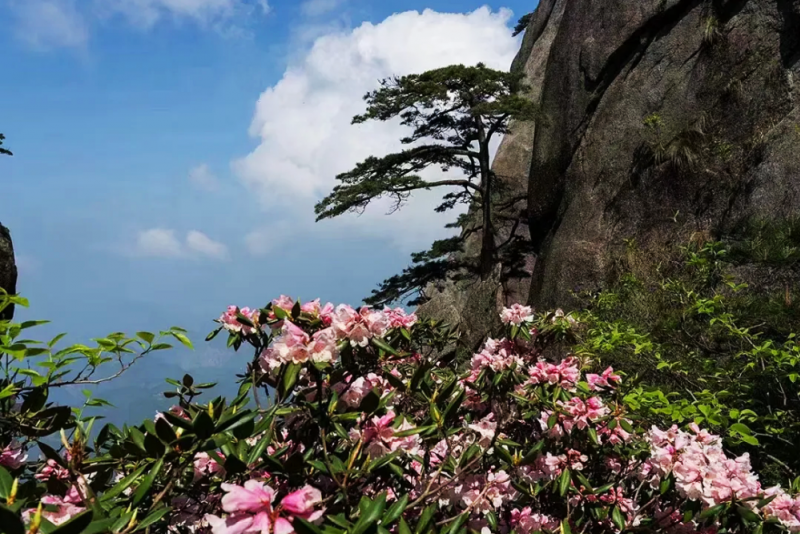 天柱山