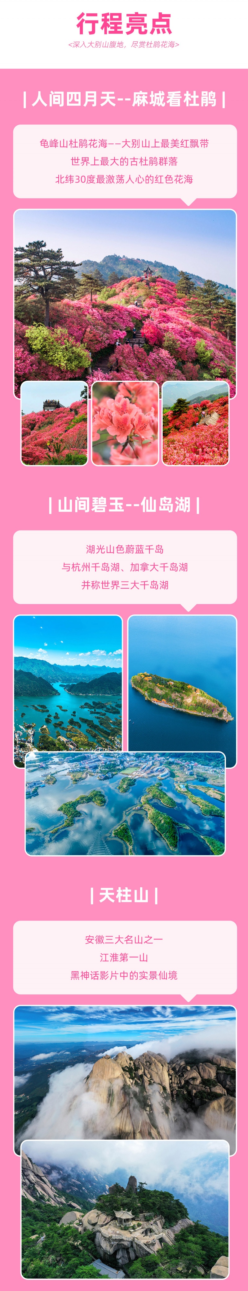 麻城杜鹃-亮点图-2025改2-6D-2