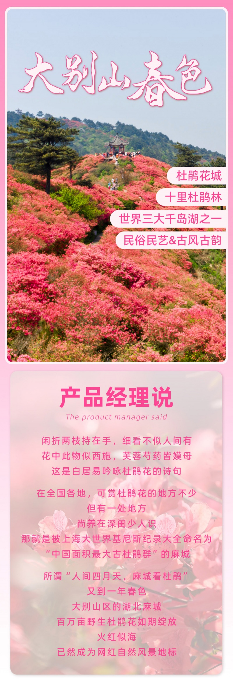 麻城杜鹃-亮点图-2025改2-6D-1