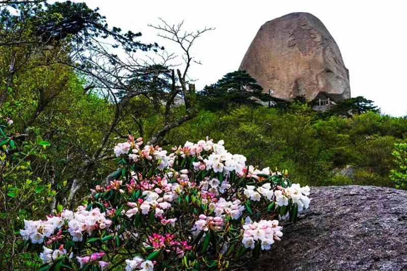 天柱山