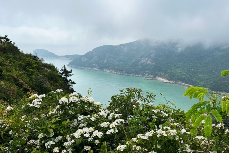 水桶岙
