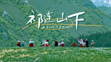 【祁连山下•避暑秘境】6月-8月 冰沟河 康乐草原 山丹军马场 窟窿峡 乌鞘岭 抓喜秀龙草原 双动6日游