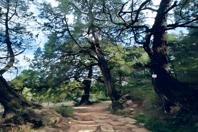 金牛古蜀道