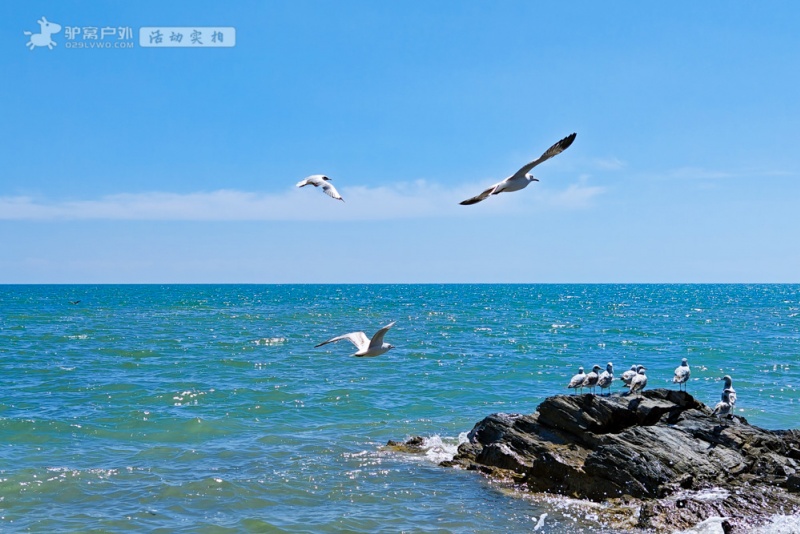 青海湖断崖
