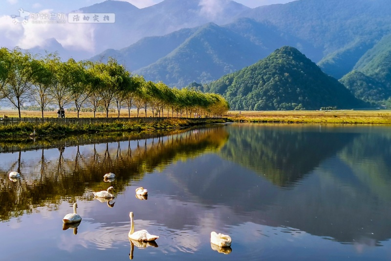 大九湖