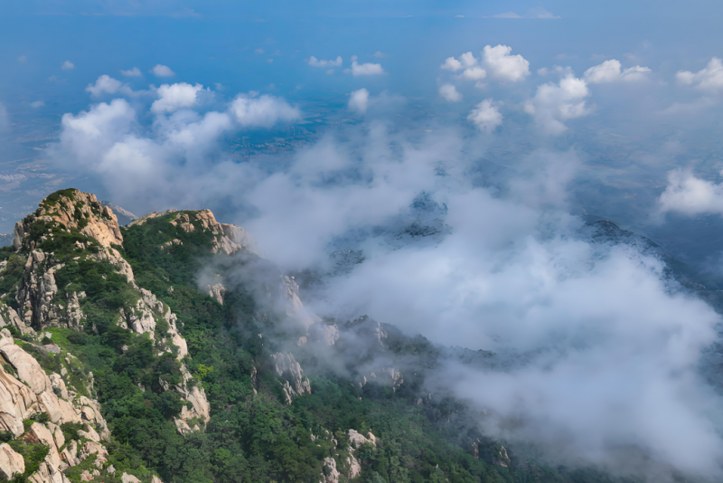 泰山