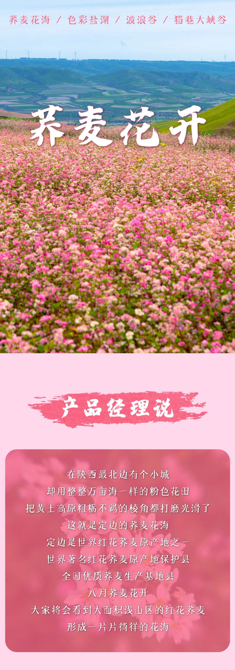 1-荞麦花开-亮点图-2025