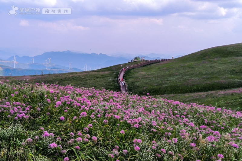 阿西里西