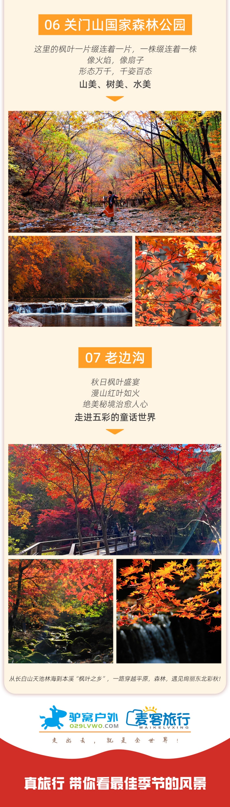 5-辽吉秋色-亮点图模板9-2025-改1