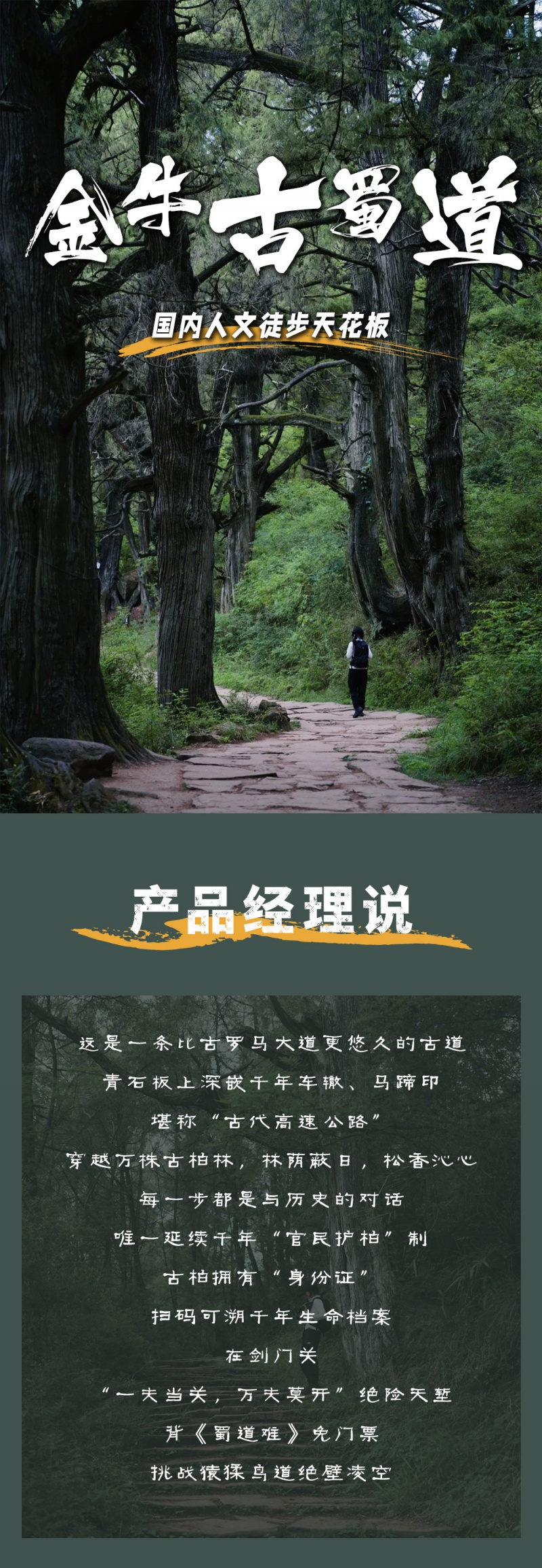 1-金牛古蜀道-2D-亮点图-2025改1
