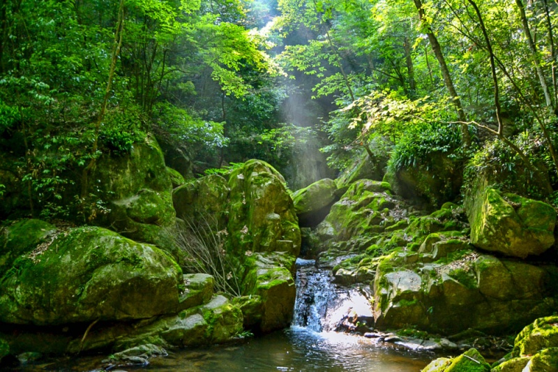 苍龙峡 苔藓谷 (1)-2