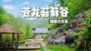 【苍龙苔藓谷 稻田小火车】9月 苍龙峡苔藓谷 稻田小火车 宁陕城隍庙 1日