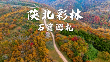 【陕北彩林 石窟巡礼】10月 觅陕北秦直道彩林 探迷陕北三大石窟 色彩与历史的碰撞 3日