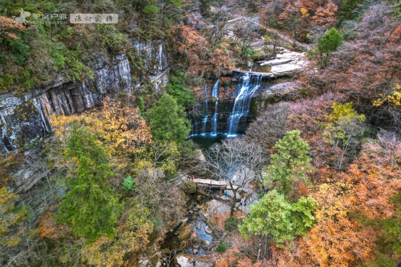 黎坪森林公园