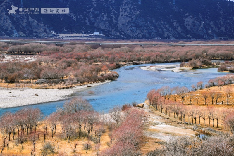 鲁朗.路景