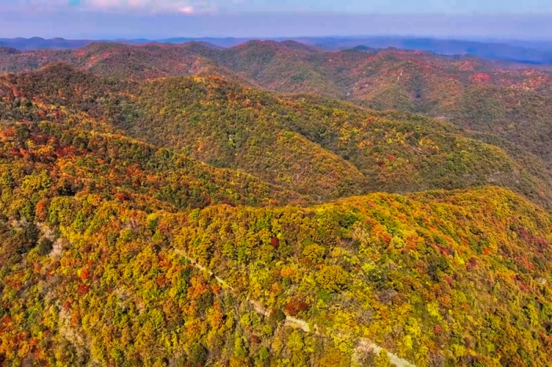 石门山秋