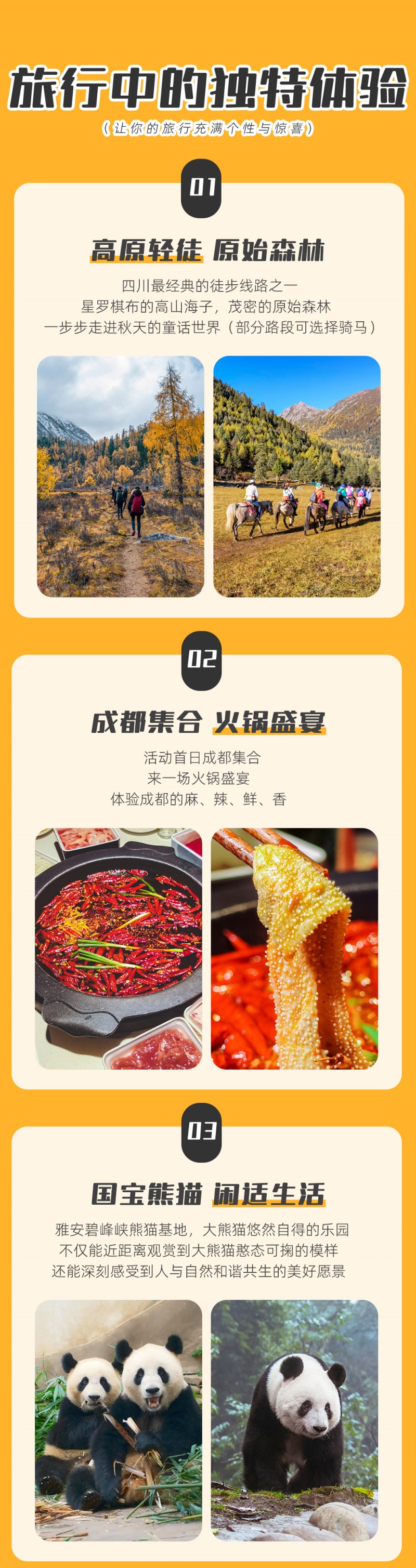 2-党岭-7D-亮点图-2025改1