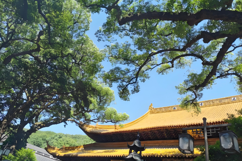 普陀山