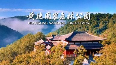 【免门票| 黄陵森林公园】10月 秋染黄陵  千年古寺紫峨寺 养生轩辕谷 绝壁丹霞云梯1日