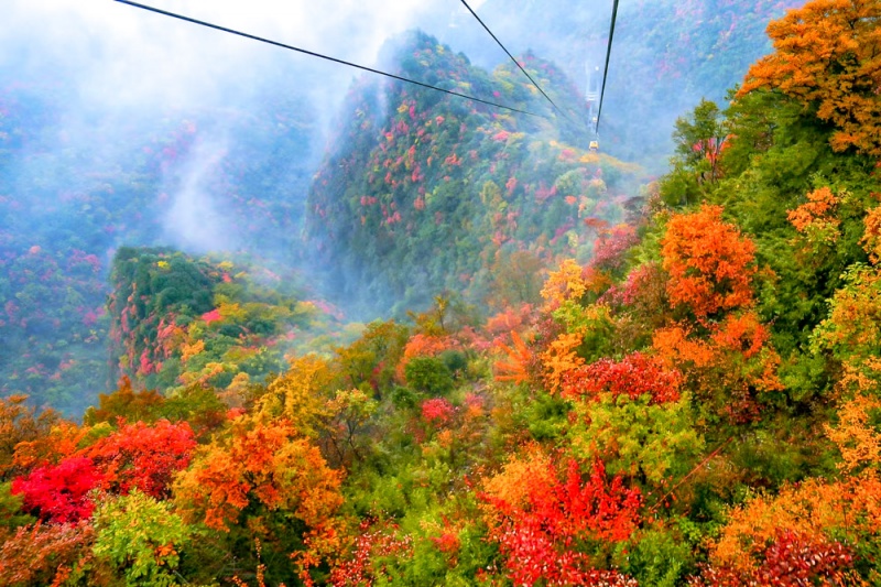 天竺山 秋 (16) 天竺山 秋 (16)