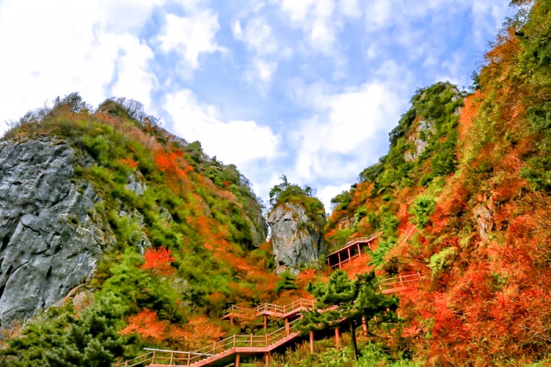 天竺山 秋 (6) 天竺山 秋 (6)